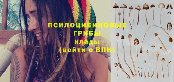 МДПВ Абинск