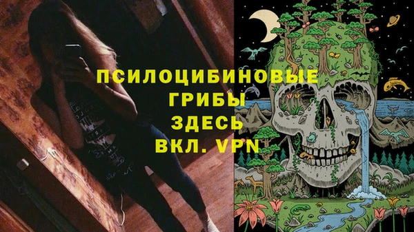 прущая мука Кулебаки
