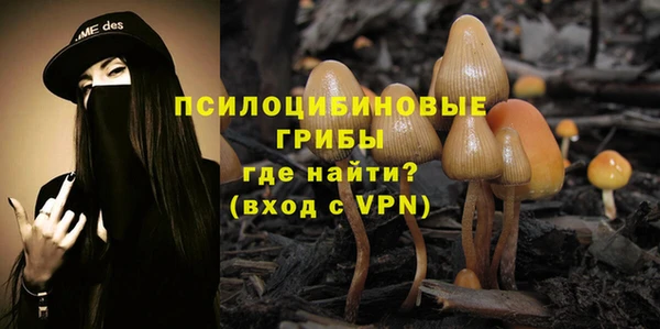 PSILOCYBIN Куйбышев