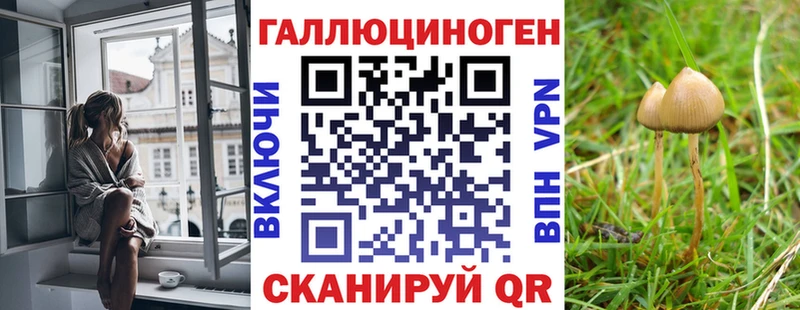 это клад  blacksprut онион  Юрюзань  Псилоцибиновые грибы Psilocybine cubensis 